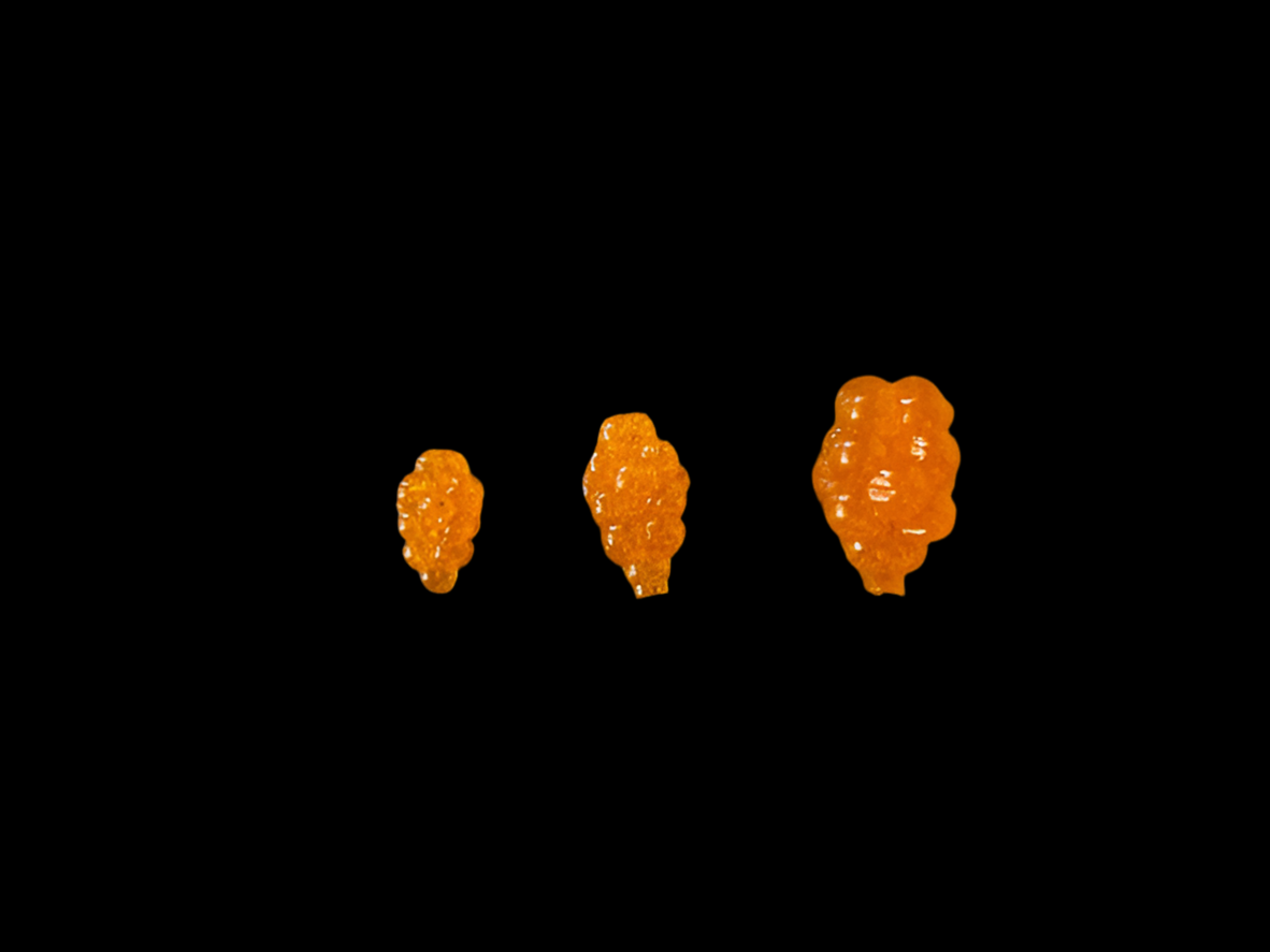 Soft Bead - Stinger - Fish Morgue Orange (FMO)